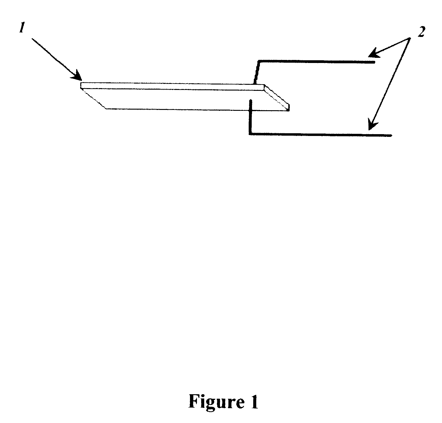 Direct assembly process for fabrication of ionomeric polymer devices