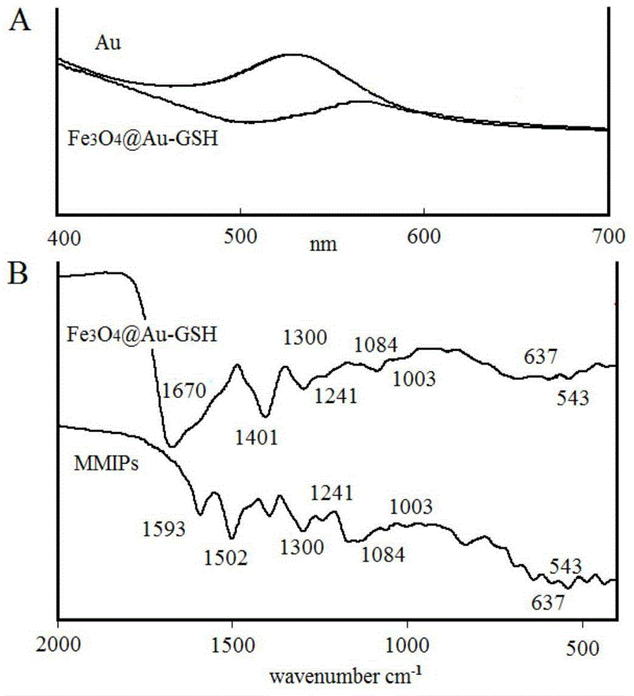 Preparation method of estradiol magnetic molecule imprinted nanoparticle electrochemical sensing film