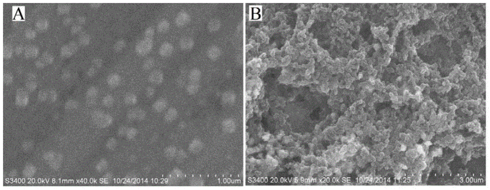 Preparation method of estradiol magnetic molecule imprinted nanoparticle electrochemical sensing film