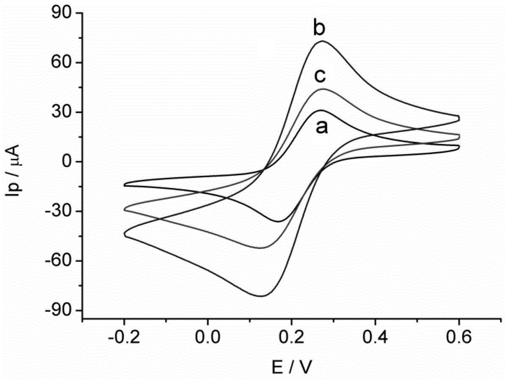 Preparation method of estradiol magnetic molecule imprinted nanoparticle electrochemical sensing film