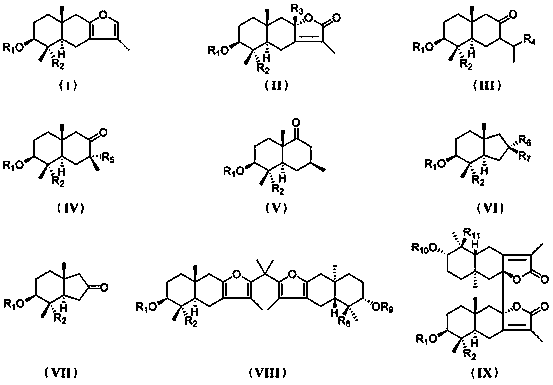 Eucalyptus sesquiterpene compounds as well as pharmaceutical composition, preparation method and application thereof
