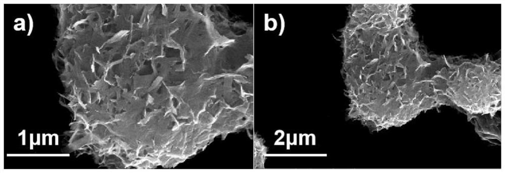 Preparation method and application of iron-zinc vanadate ion battery positive electrode material