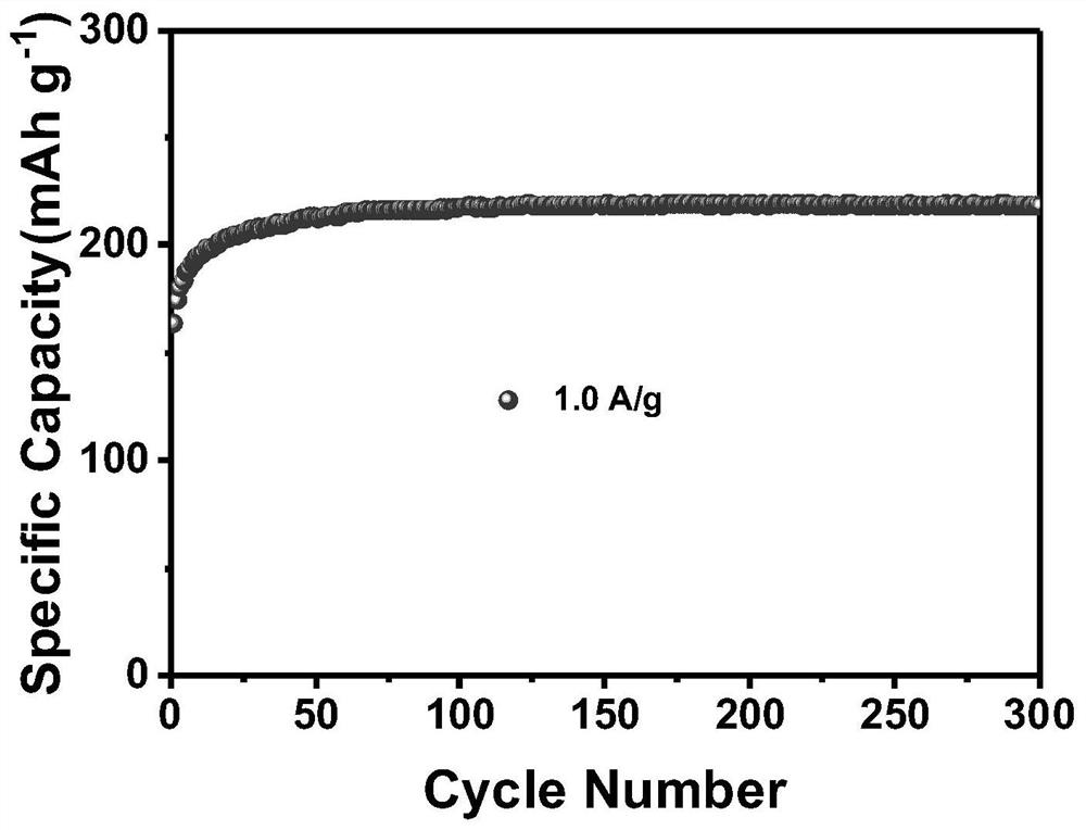 Preparation method and application of iron-zinc vanadate ion battery positive electrode material