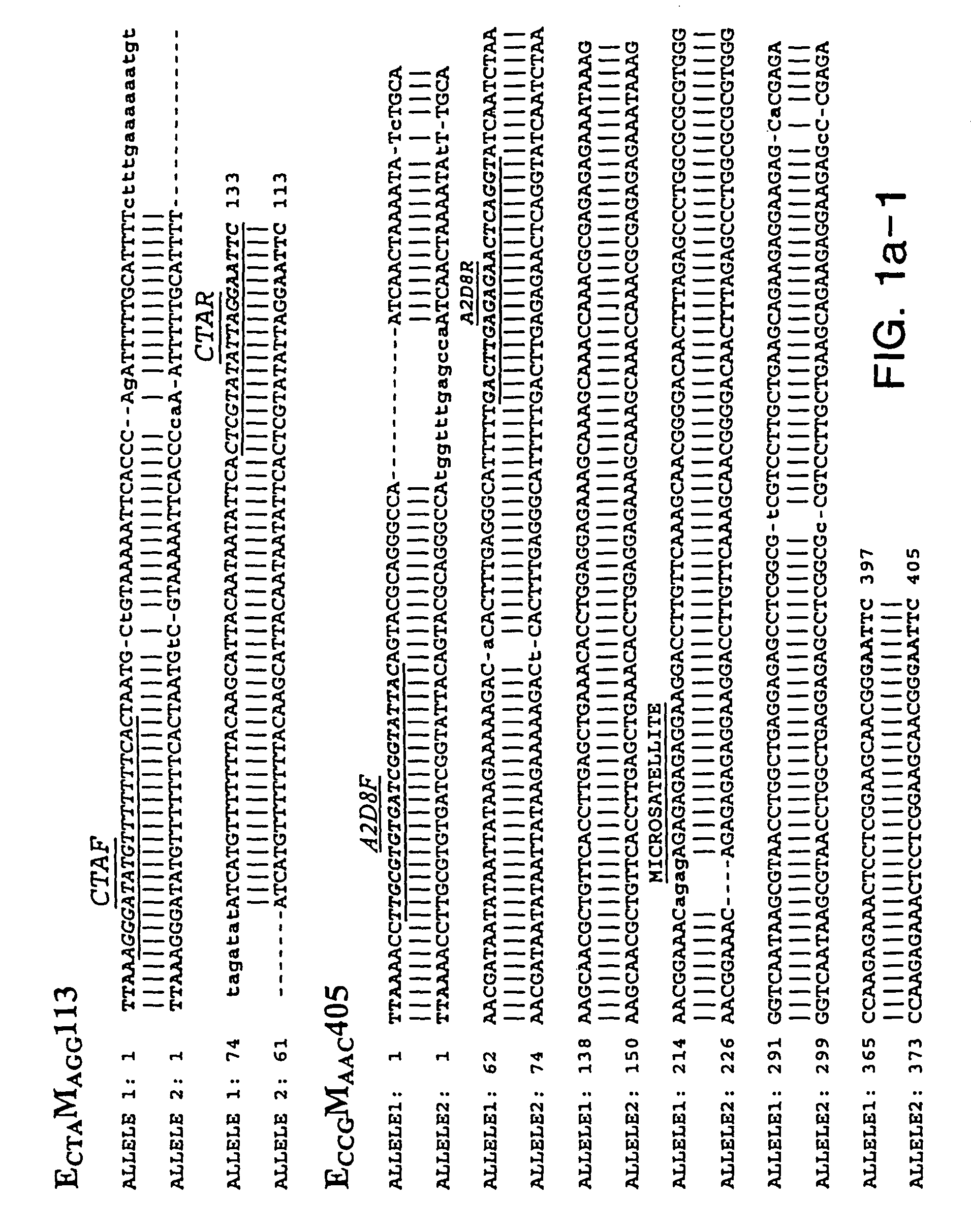 Isolated soybean cyst nematode and soybean sudden death syndrome polypeptides