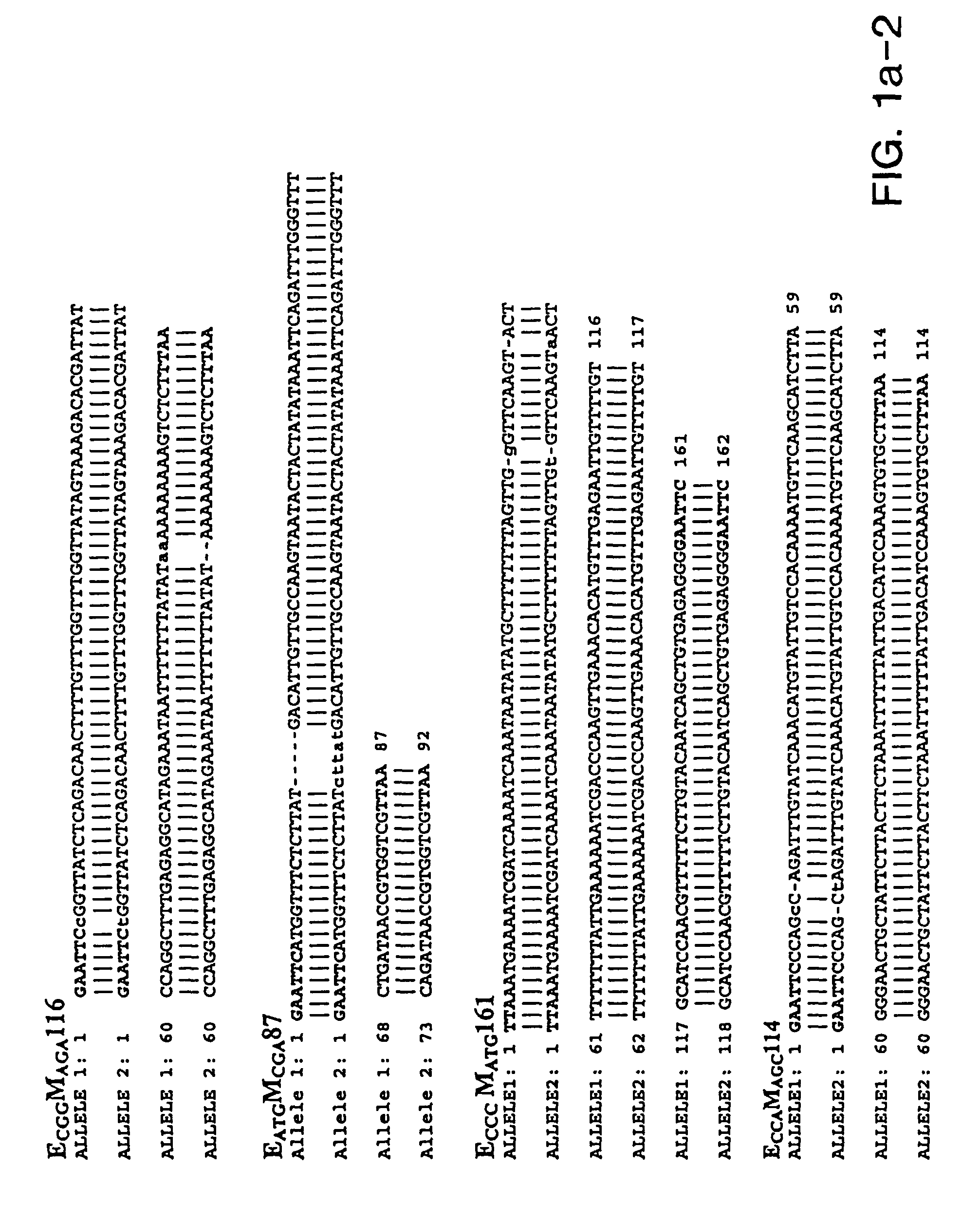 Isolated soybean cyst nematode and soybean sudden death syndrome polypeptides