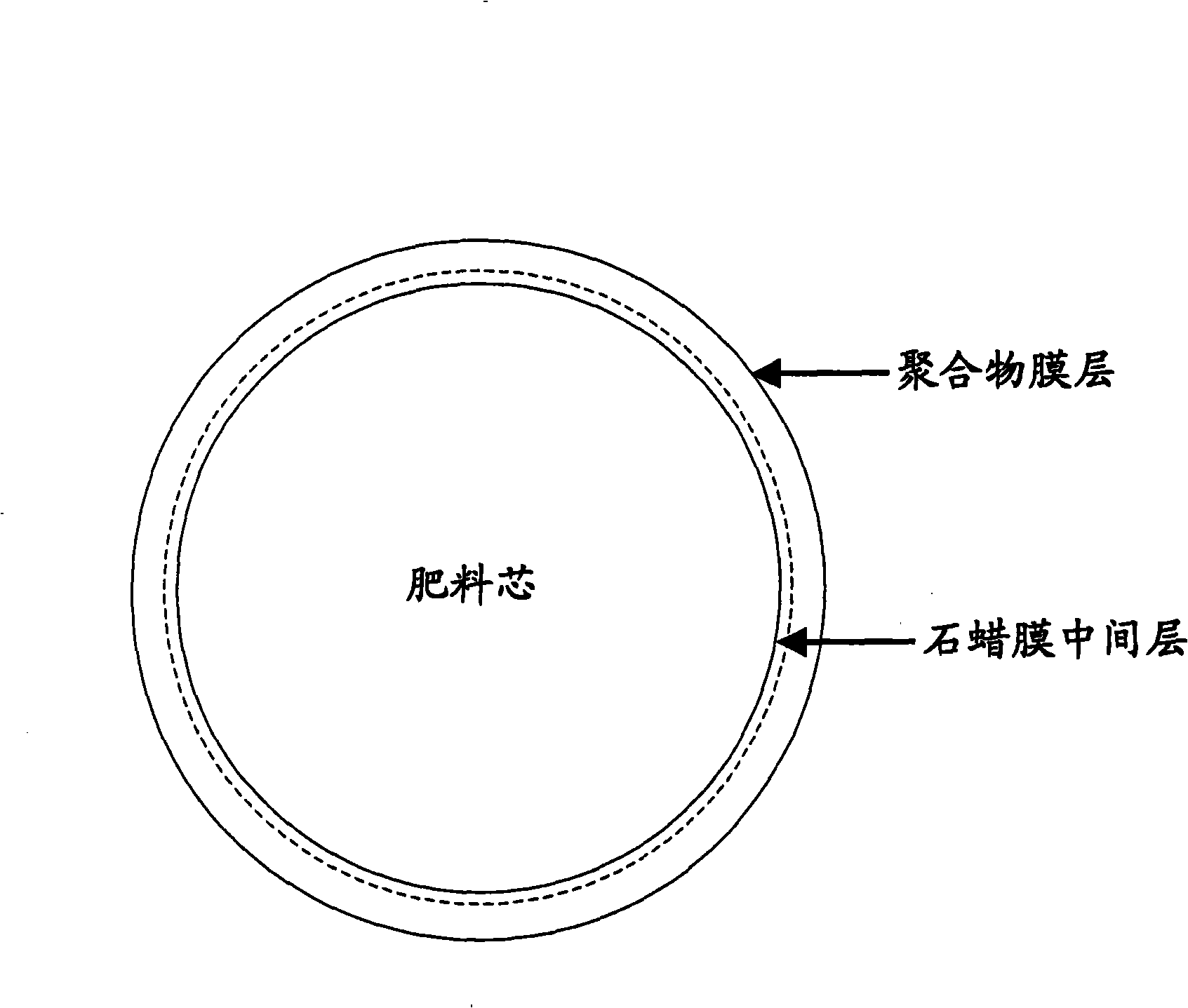 Aqueous polymer-olefin dual-layer coated controlled release fertilizer and preparation thereof