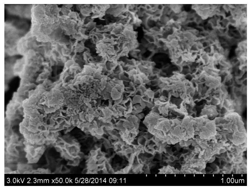 Calcium-magnesium-silicon functional material with hierarchical pore distribution as well as preparation method and application of calcium-magnesium-silicon functional material