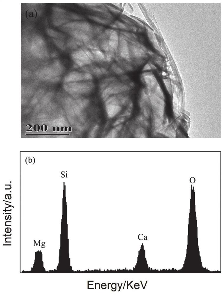 Calcium-magnesium-silicon functional material with hierarchical pore distribution as well as preparation method and application of calcium-magnesium-silicon functional material