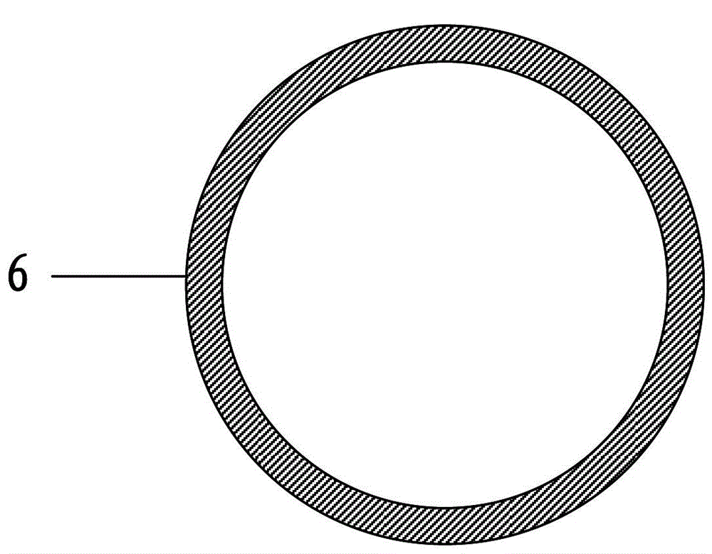 A flexible multiferroic device