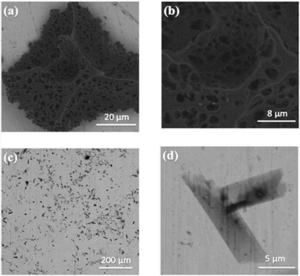 Biomass carbon/molybdenum disulfide nano composite material and preparation method thereof