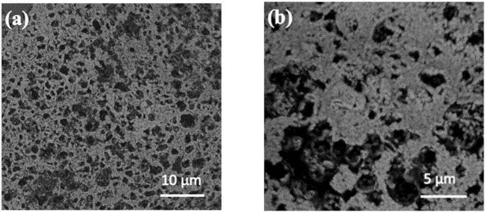 Biomass carbon/molybdenum disulfide nano composite material and preparation method thereof