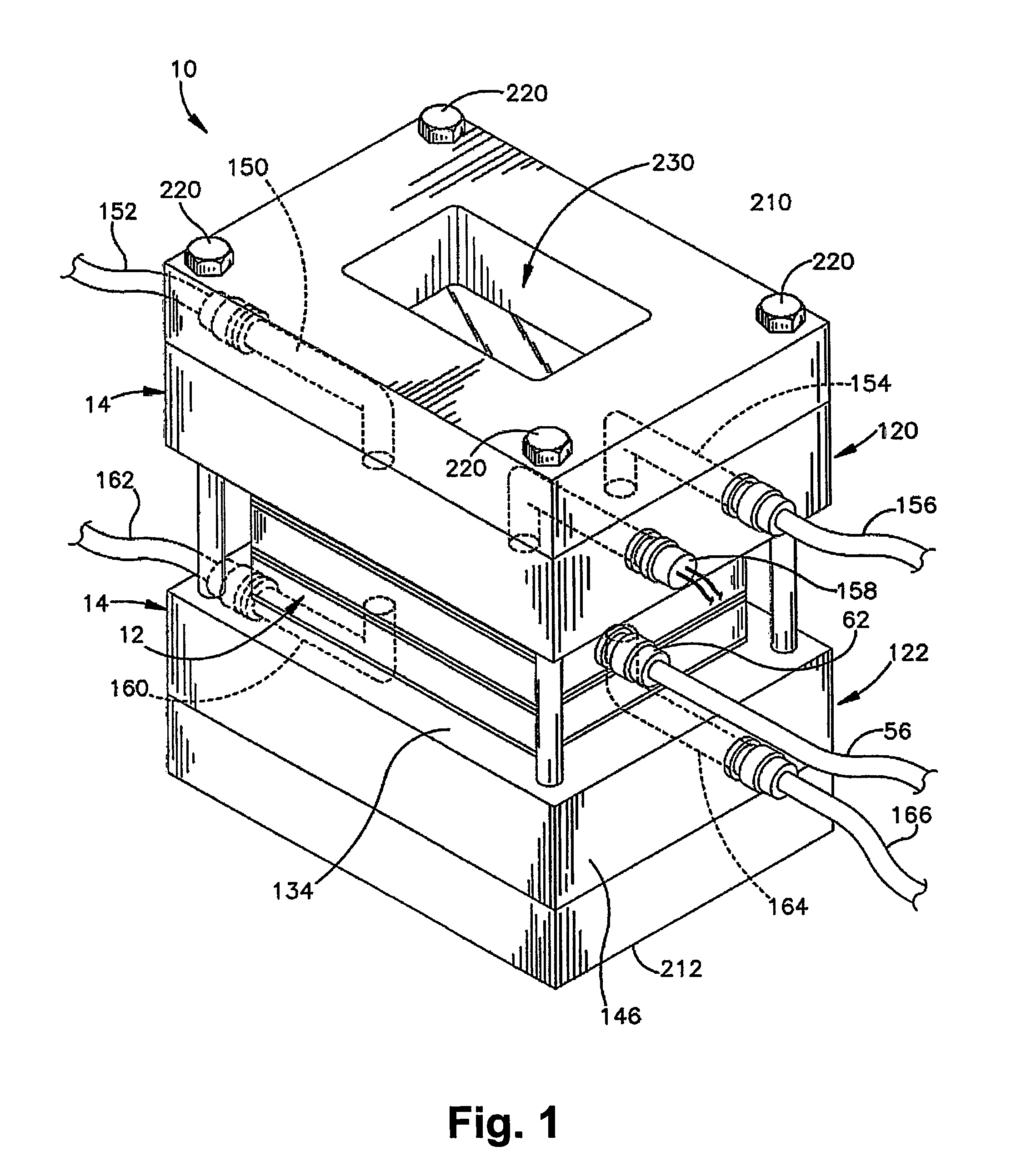 Apparatus and method for tissue engineering