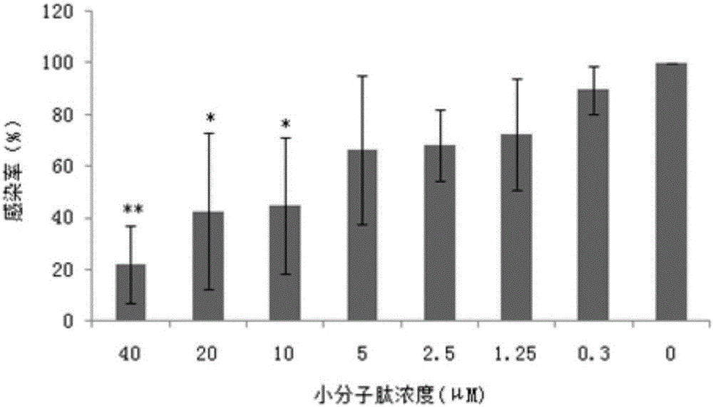 Dengue virus E protein blocking peptide P4 and application thereof