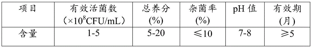 Photosynthetic bacterium strain, liquid manure containing same, preparation method of liquid manure and application of liquid manure