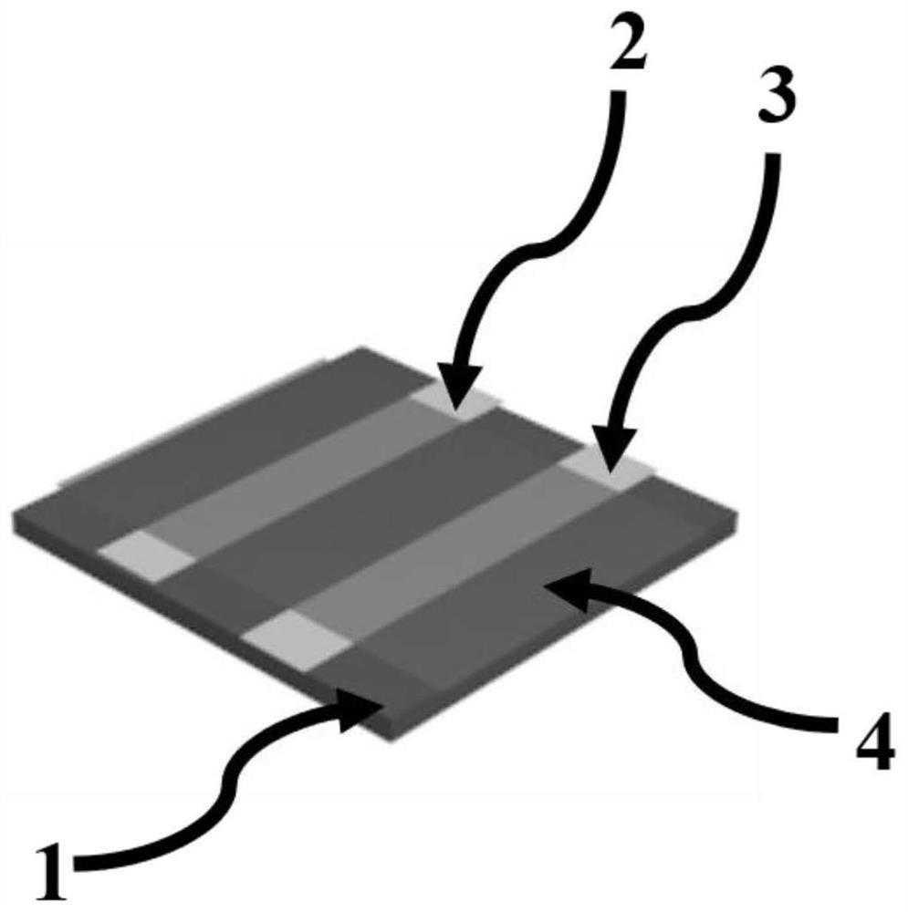 Photoelectric biochemical sensor based on organic thin film field effect transistor as well as preparation method and application of photoelectric biochemical sensor