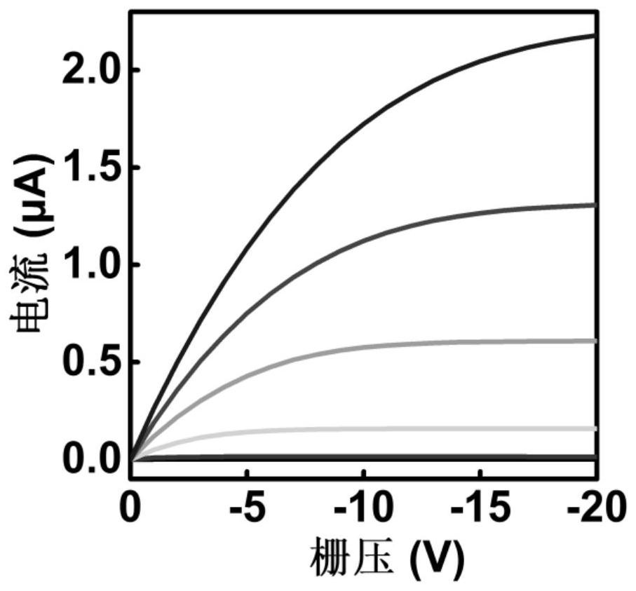 Photoelectric biochemical sensor based on organic thin film field effect transistor as well as preparation method and application of photoelectric biochemical sensor