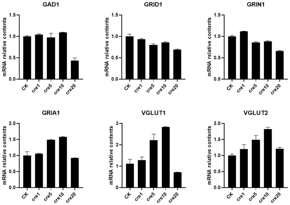 Chemical induction method of cortex neurons, and culture medium