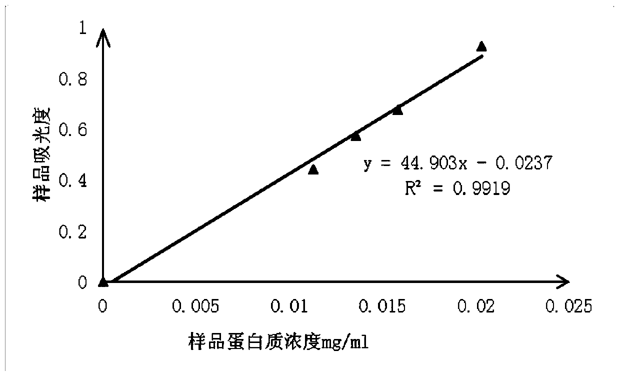 Method of quickly detecting protein concentration in traditional Chinese medicine extract and application of method