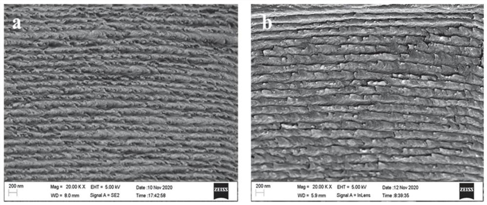 Structural color film with humidity response characteristic and preparation method of structural color film