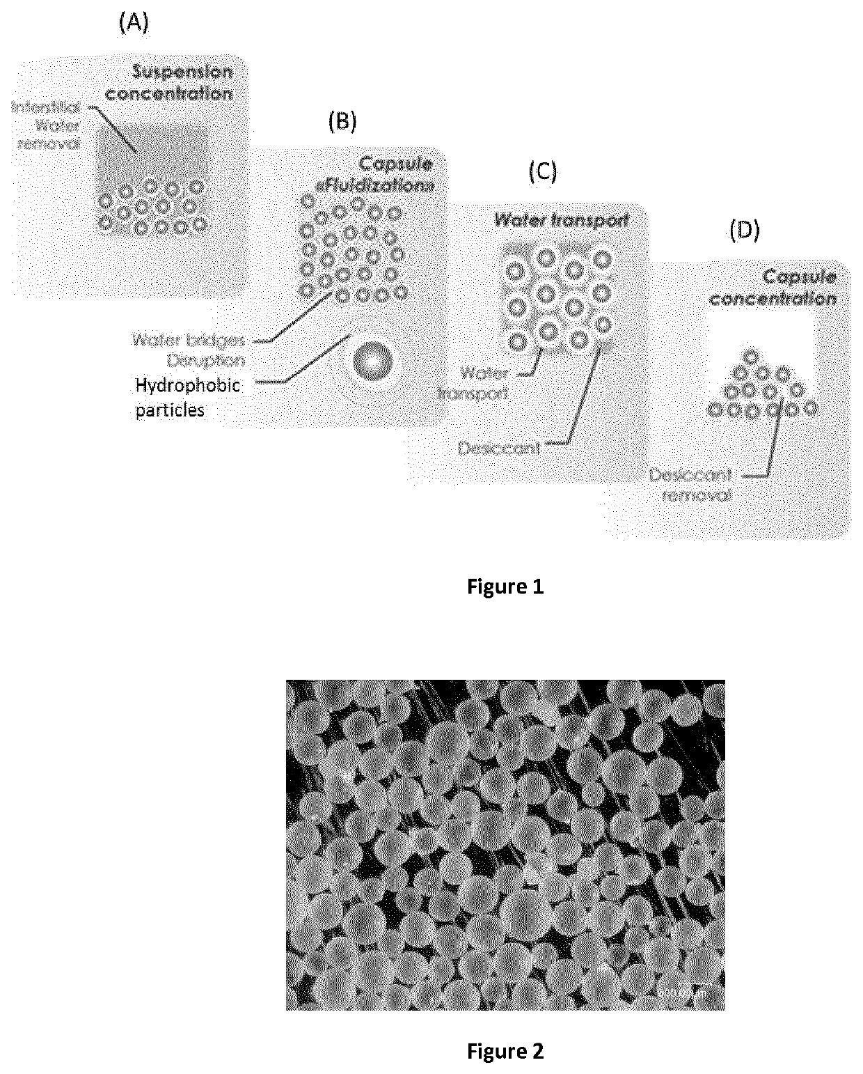 Process for drying a suspension of hydrogel microcapsules