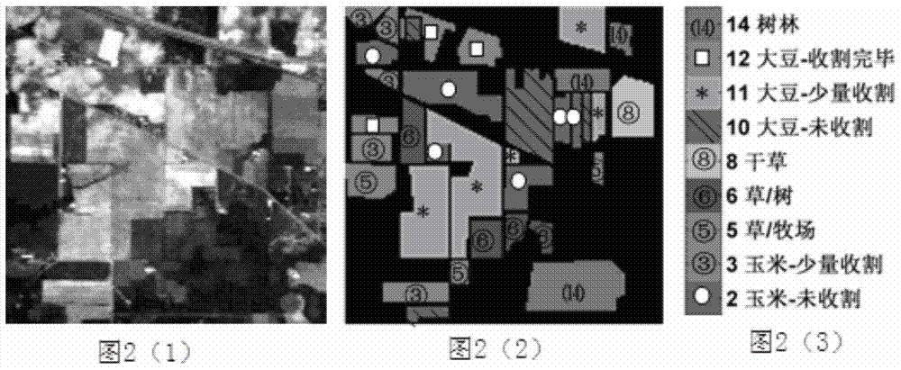 Semi-supervised classification method for hyperspectral remote sensing images based on local manifold learning composition