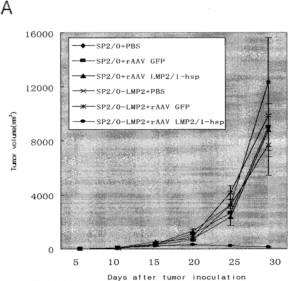 Preparation method of recombinant adeno-associated viruses containing EB virus latent membrane protein 1 and 2 genes and application thereof