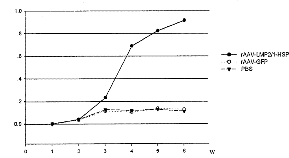 Preparation method of recombinant adeno-associated viruses containing EB virus latent membrane protein 1 and 2 genes and application thereof