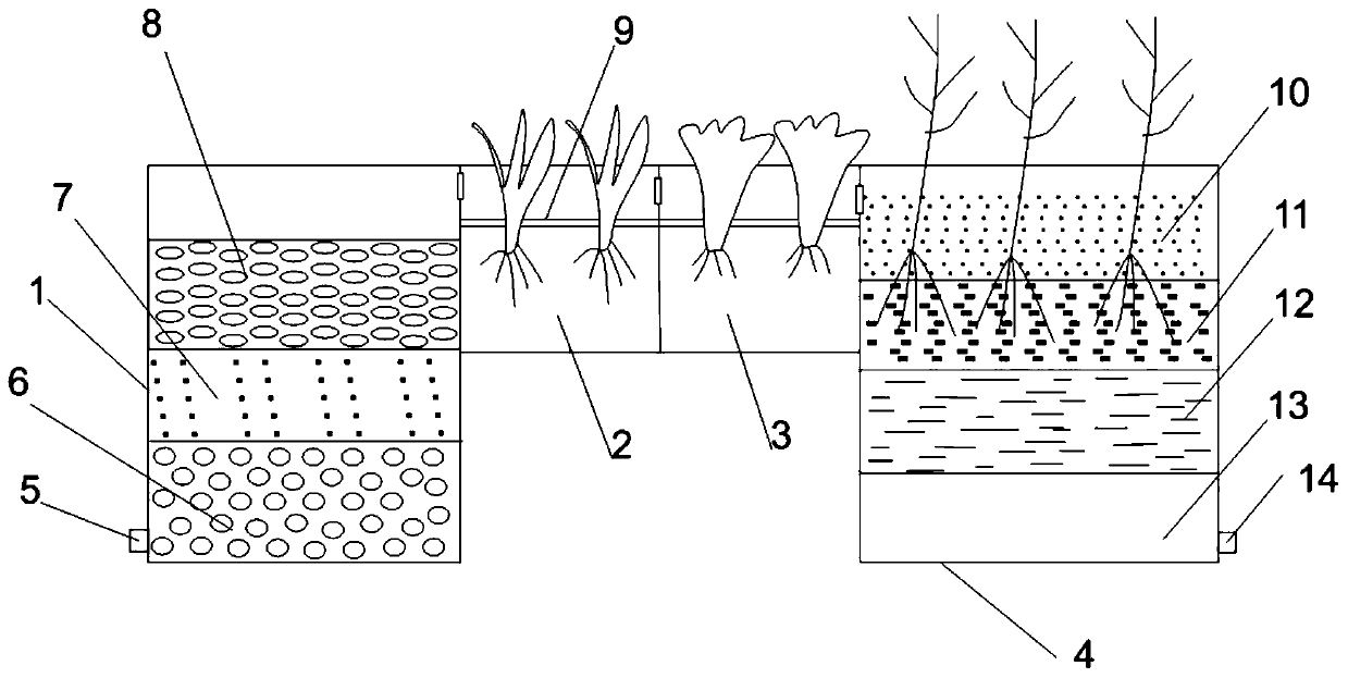 System and method for efficiently intercepting and purifying nitrogen and phosphorus in rural domestic sewage