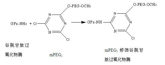 Modified glutathione peroxidase and preparation method thereof