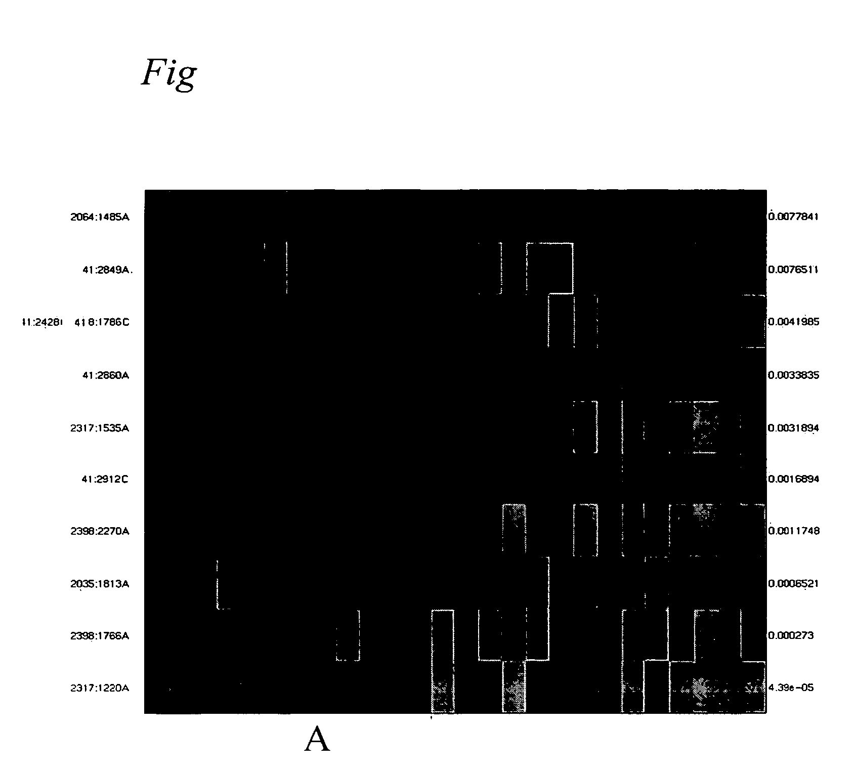 Method and nucleic acids for the analysis of colon cancer