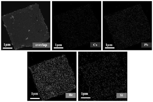 Preparation method of stable silicon-coated pure-phase CsPb2Br5 inorganic nanocrystal