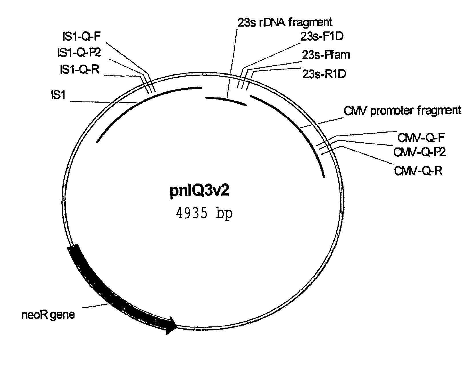 Method For Genetic Selection Of High-Plasmid Producing E. Coli Clones