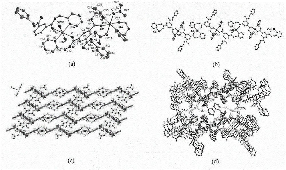 Cd coordination compound based on flexible amido pyridine ligand and preparation method thereof