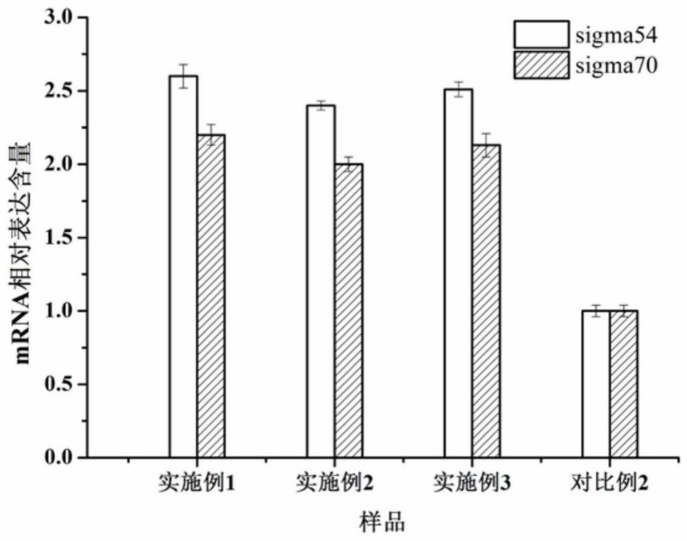 Microbial source fungicide for preventing and treating plant diseases and preparation method thereof