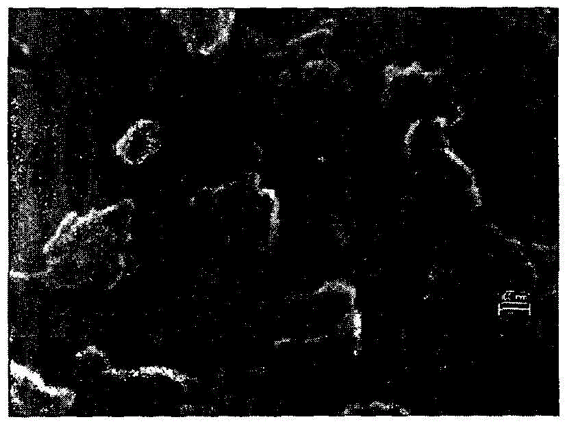 Smectic A compositions for use in optical devices