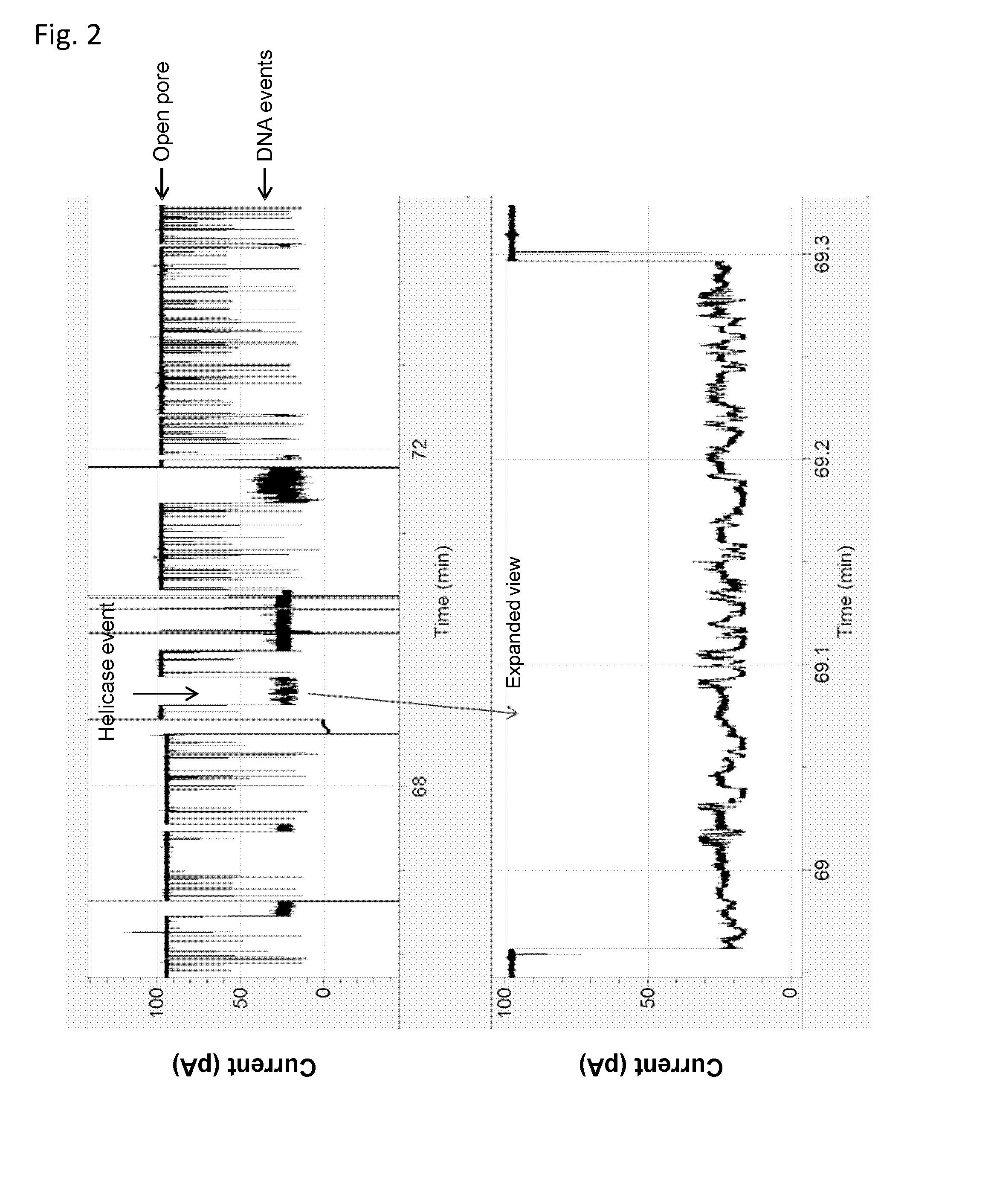 Method for characterising a polynucelotide by using a xpd helicase