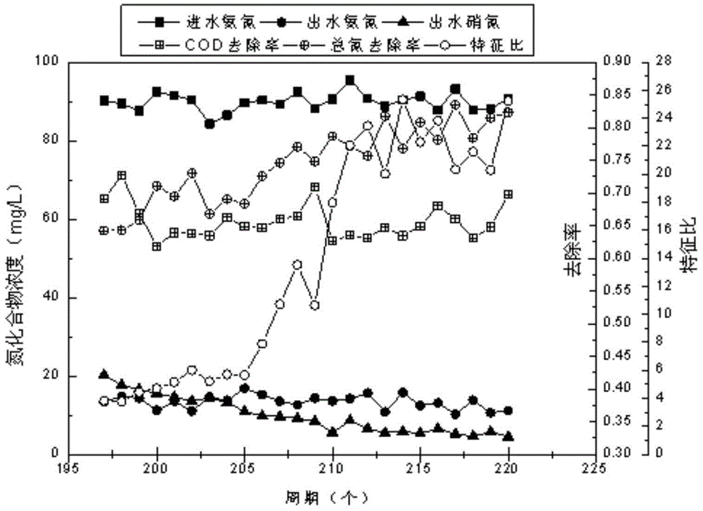 A kind of recovery method of simultaneous nitrification anammox and denitrification process