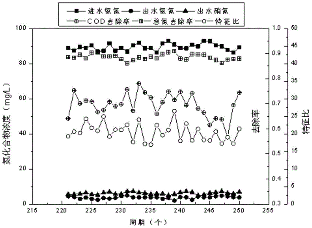 A kind of recovery method of simultaneous nitrification anammox and denitrification process