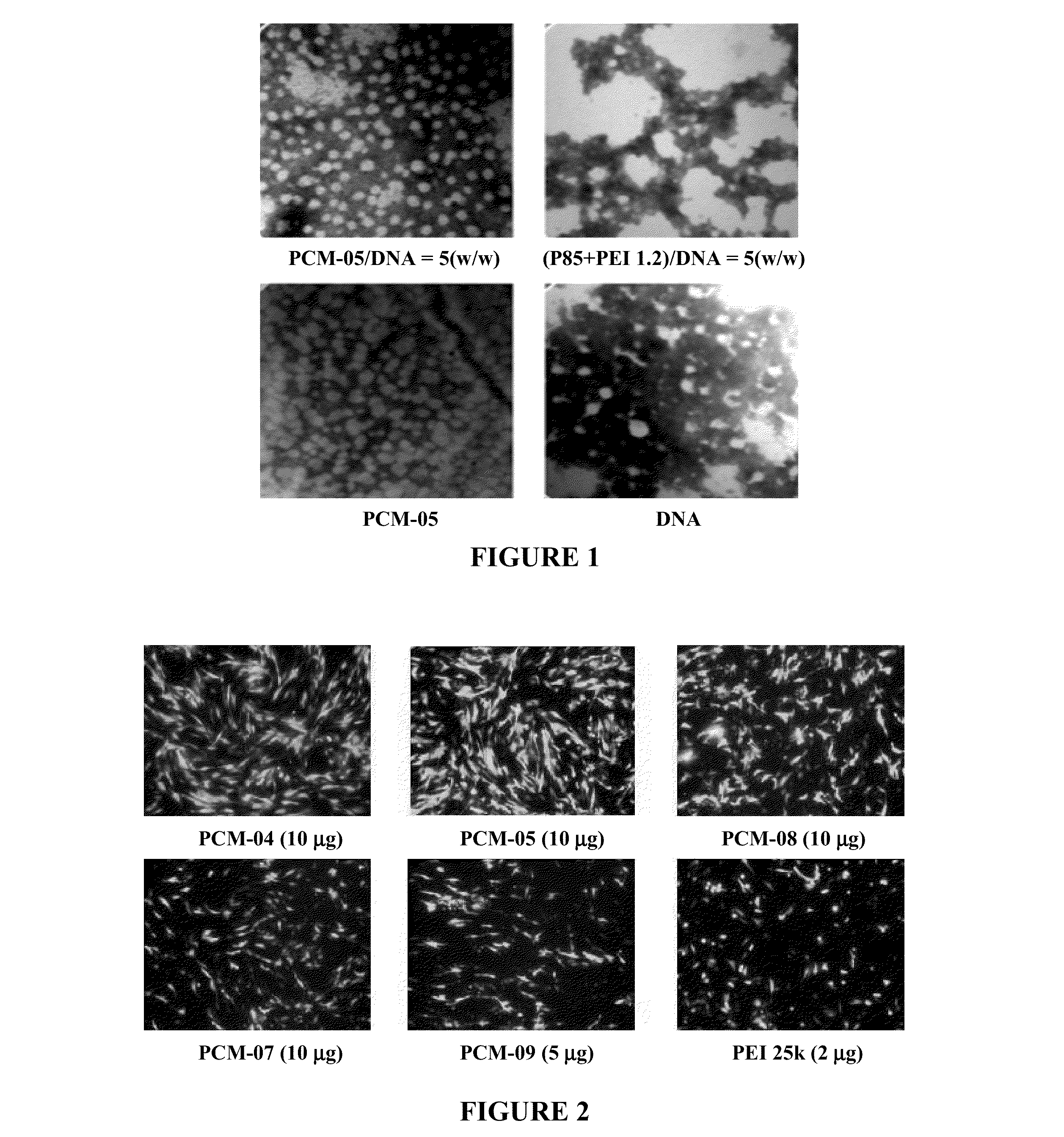 Amphiphilic Cationic Polymers and Methods of Use Thereof