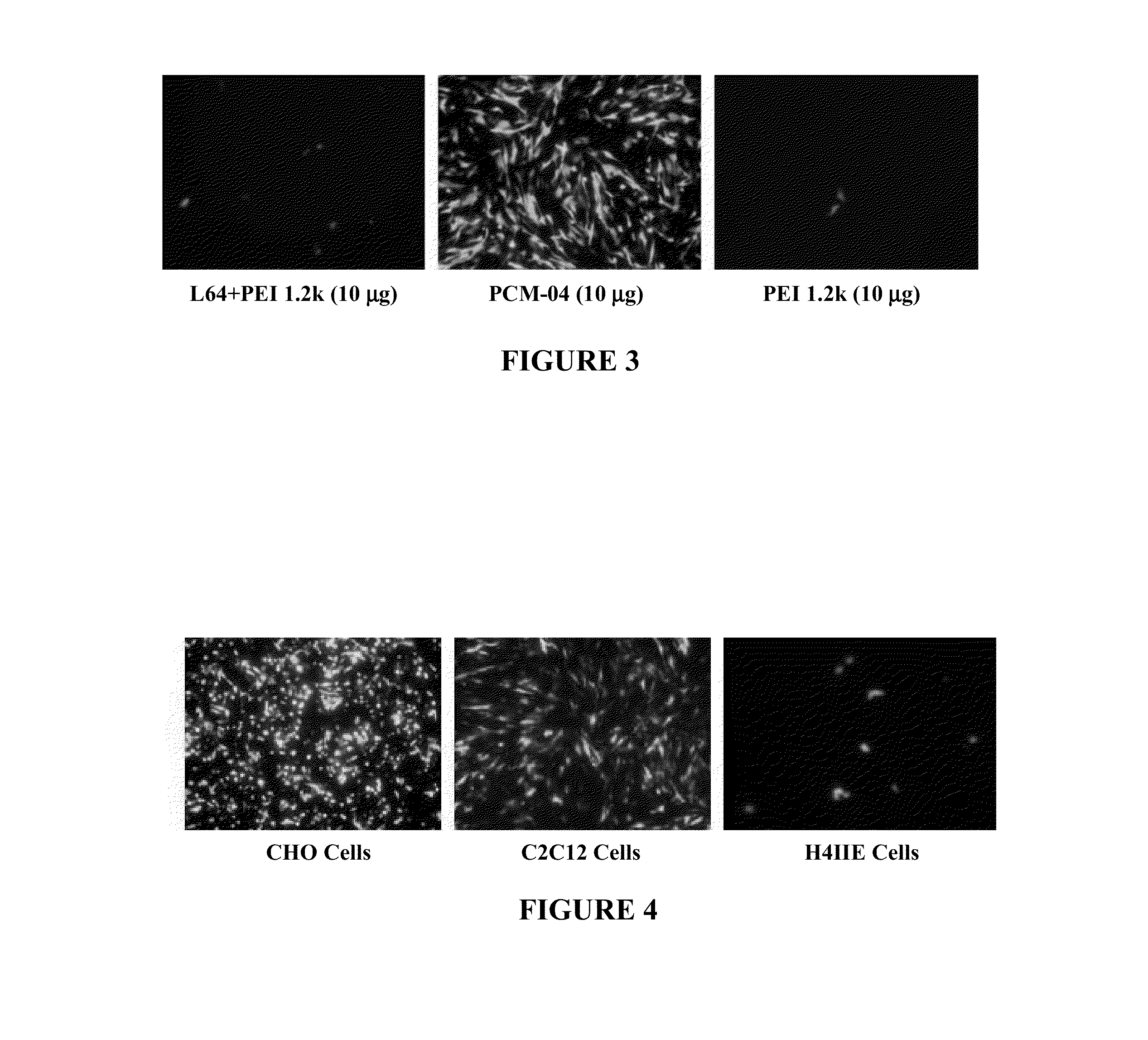 Amphiphilic Cationic Polymers and Methods of Use Thereof
