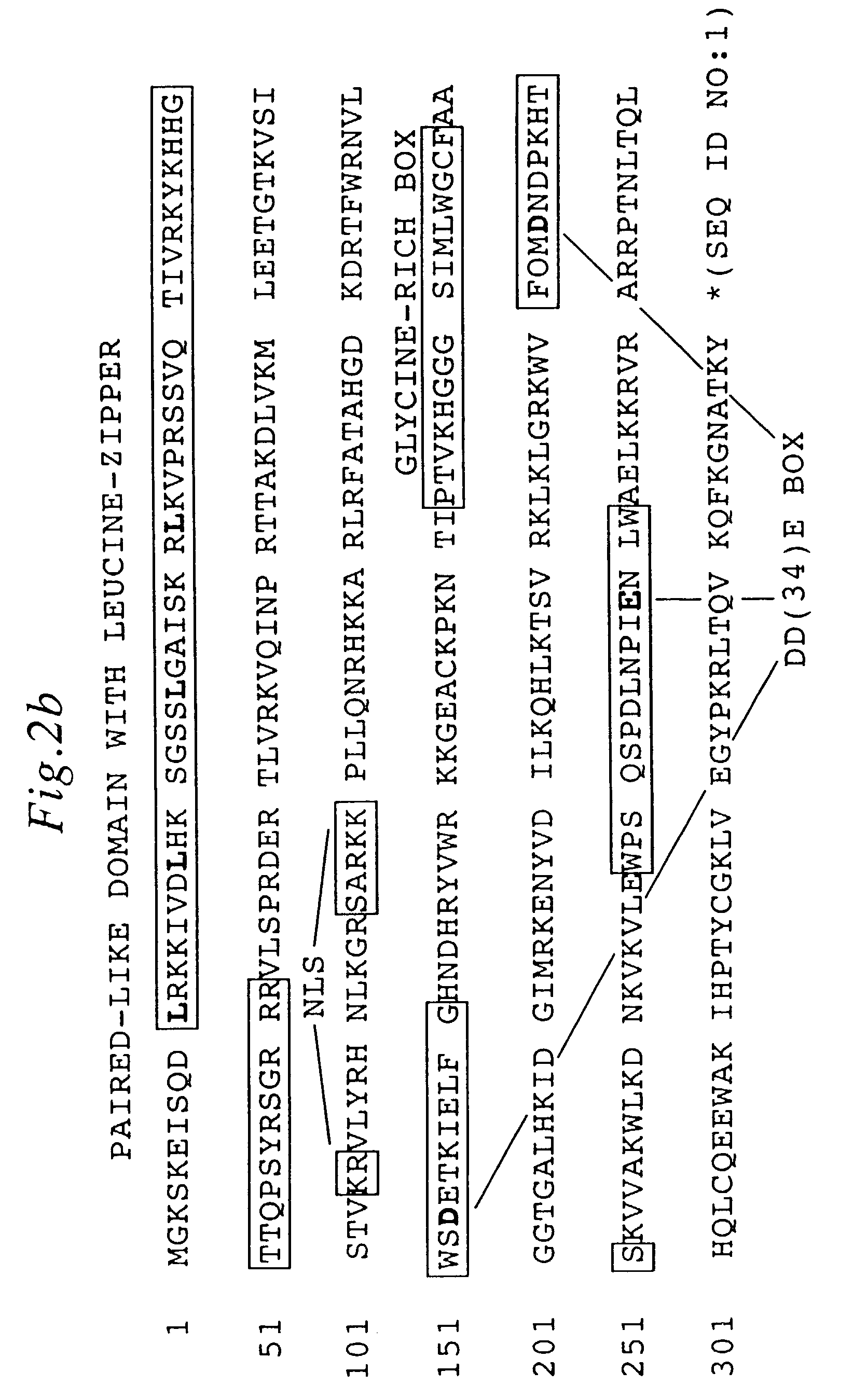 Nucleic acid transfer vector for the introduction of nucleic acid into the DNA of a cell