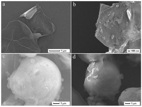 Preparation method and application of mosaic type magnetic imprinting adsorbent