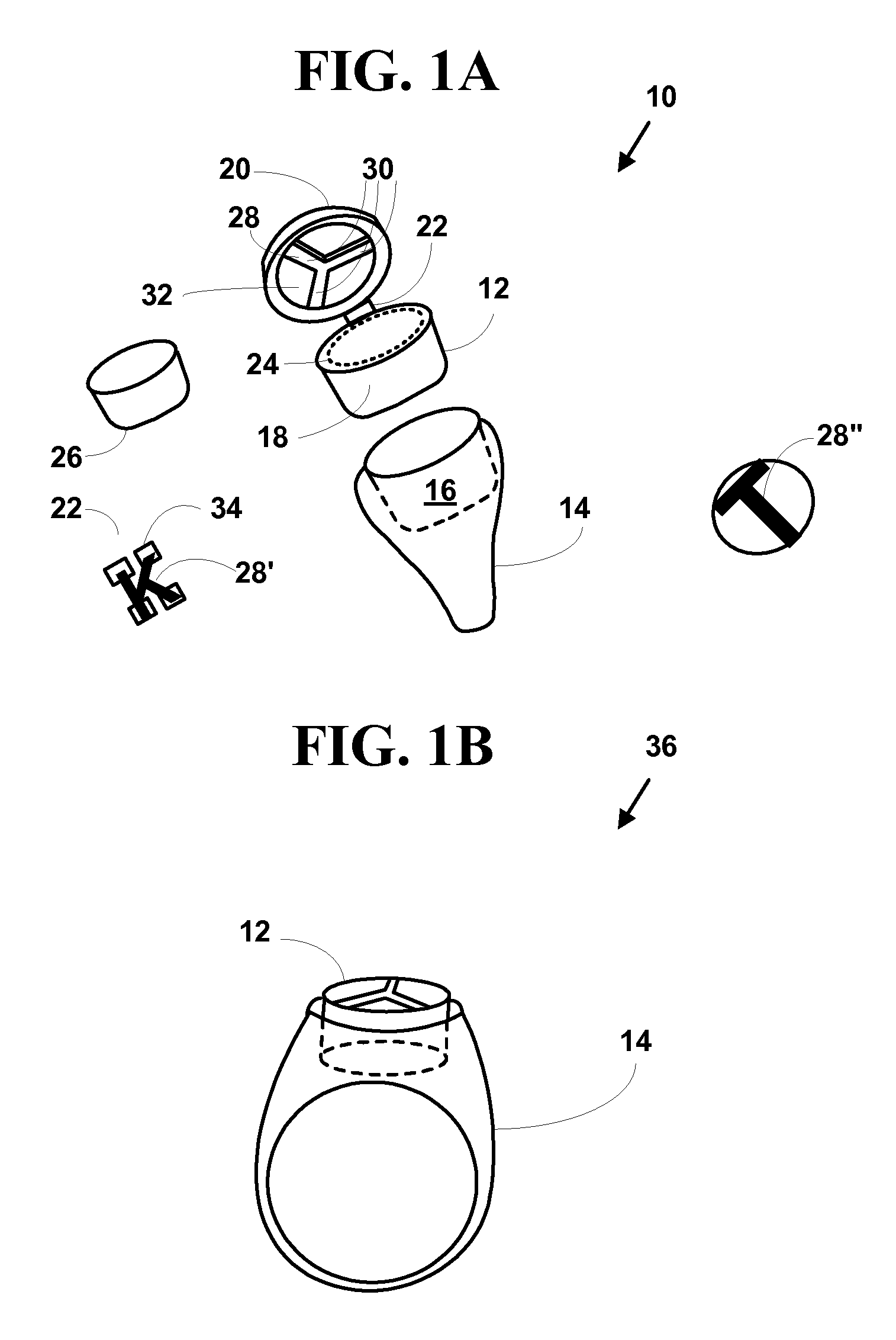 Jewelry apparatus with living ornamental material