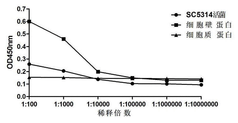 Preparation and applications of anti-Och1 monoclonal antibody