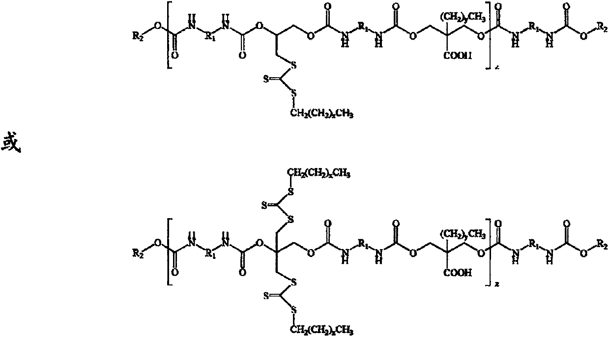 Preparation method of polyurethane RAFT (reversible addition fragmentation chain transfer) reagent