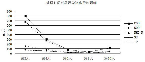 A process for treating domestic sewage using algae microspheres