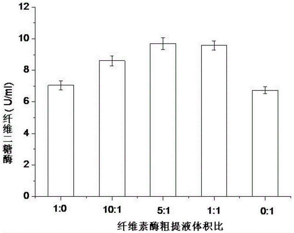 Strain for producing cellulase and application of strain
