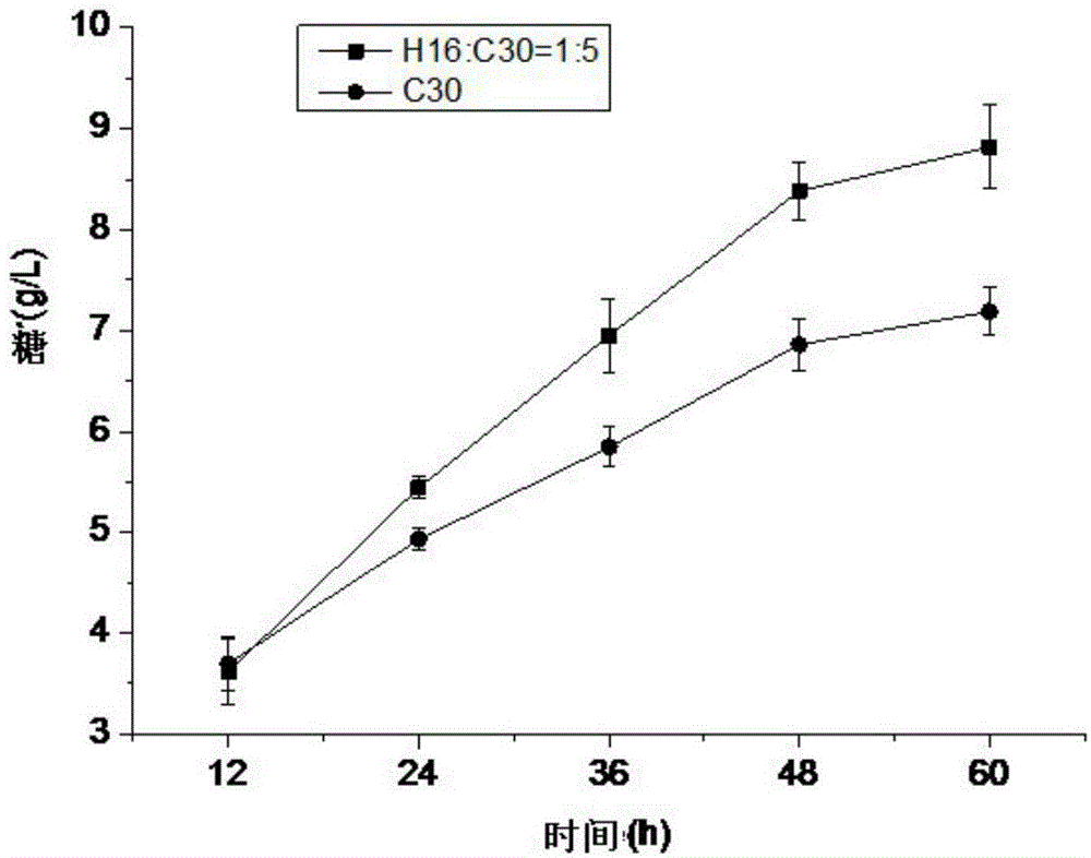 Strain for producing cellulase and application of strain