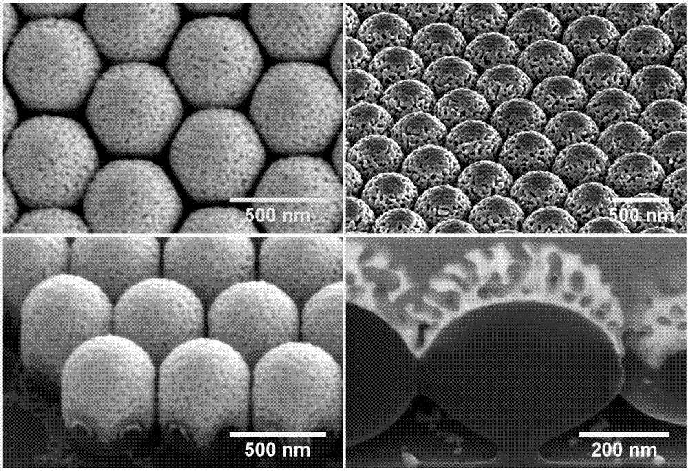 Nano porous surface plasmon crystal and preparation method thereof