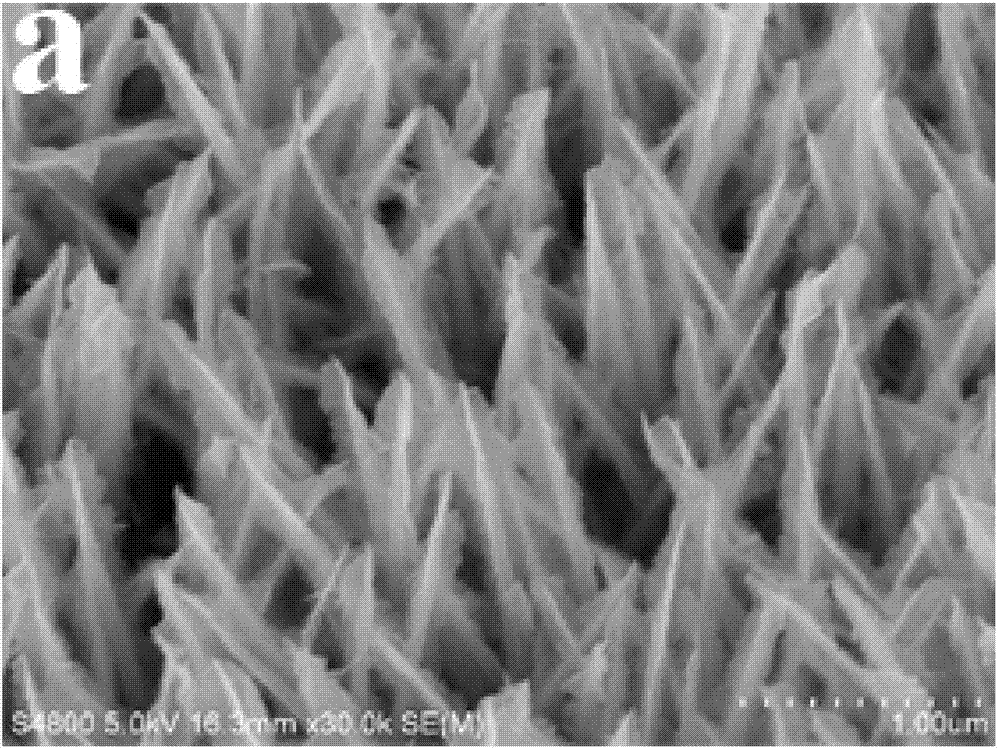 Isomorphous, high performance cobalt nickel @ cobalt nickel core-shell structure material and preparation method and application thereof